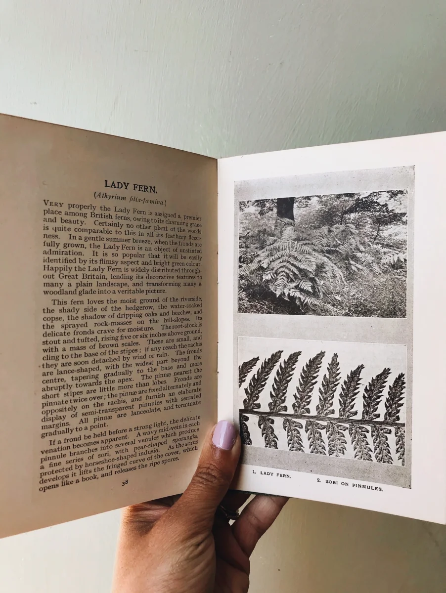 Antique 1920’s Botany Books (Sold Separately) - Image 6